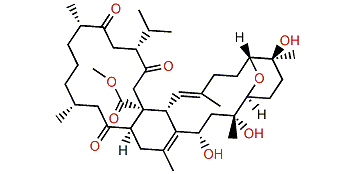 Methyl tortuoate D